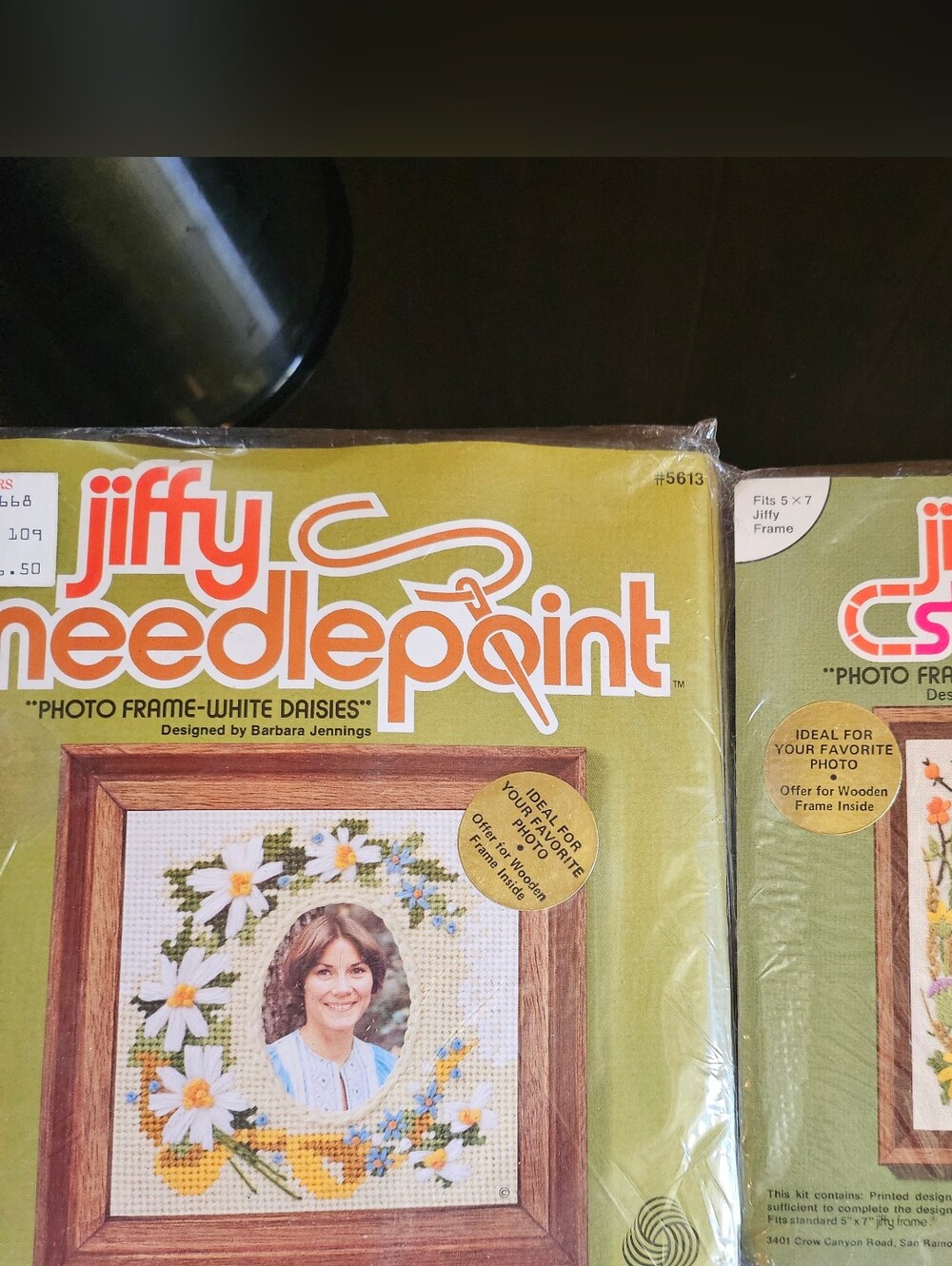 Jiffy Stitchery Embroidery mini Kit Photo Frame Crewel Mini daisies, thistles